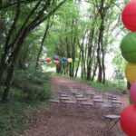woodland wedding unusual setting