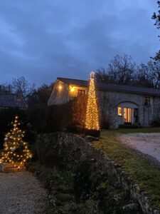 Christmas lights